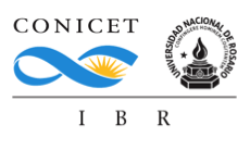 IBR