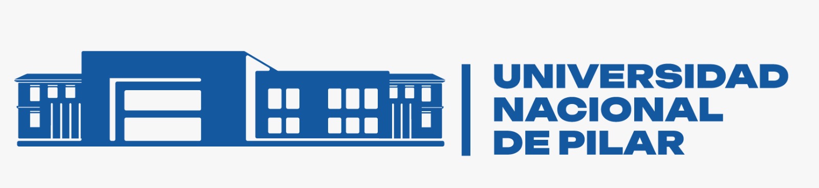 UNIVERSIDAD NACIONAL DE PILAR